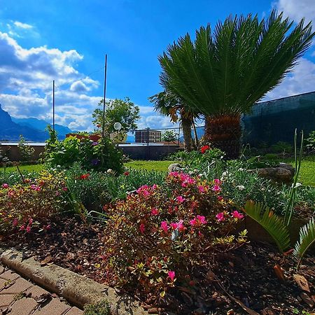 Le Rose Sul Lago Pescate ภายนอก รูปภาพ