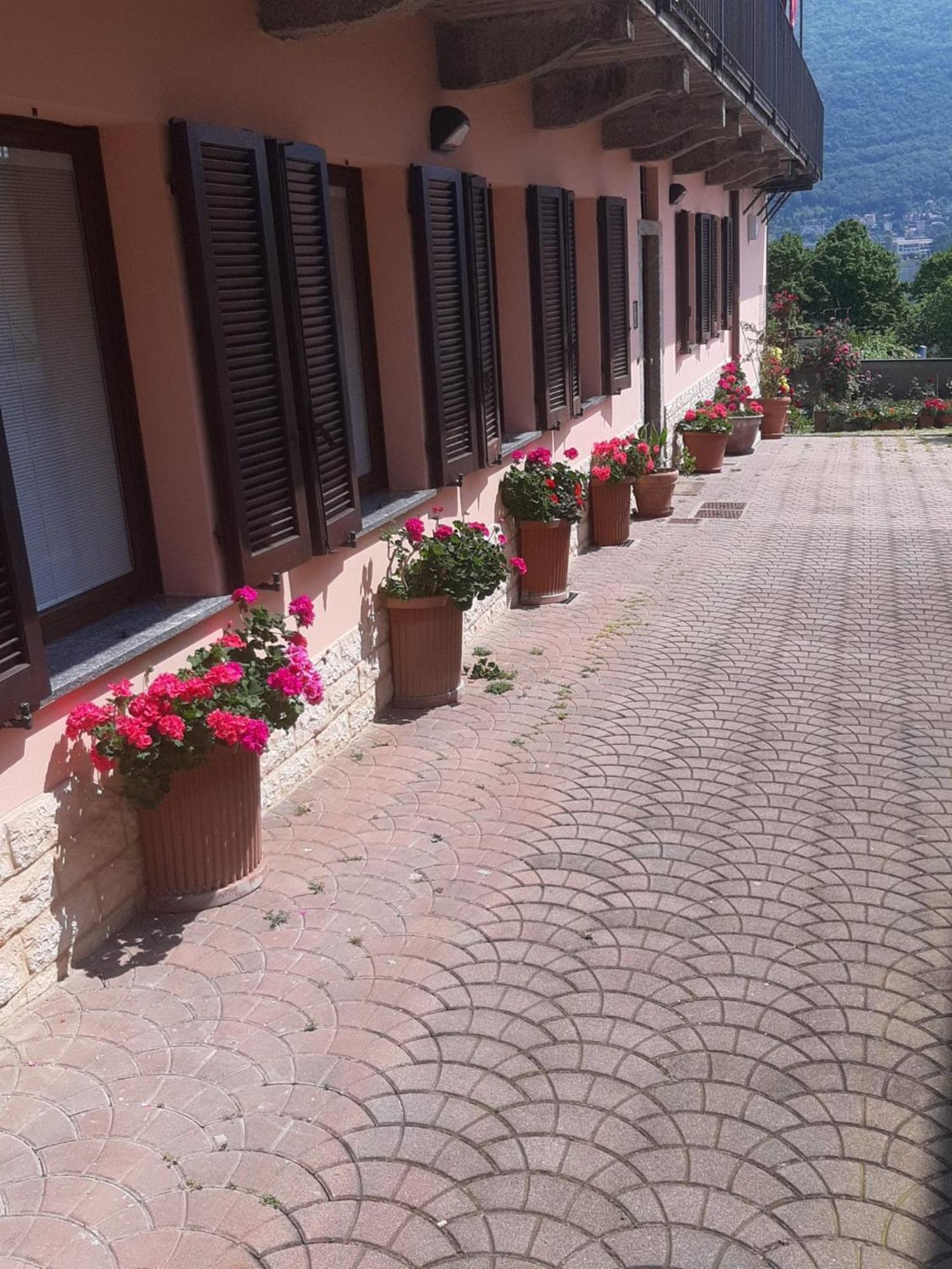 Le Rose Sul Lago Pescate ภายนอก รูปภาพ